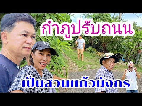 กำภูปรับถนนหน้าบ้าน เป็นสวนแก้วมังกร #บ้านสวนกำภูEp1120