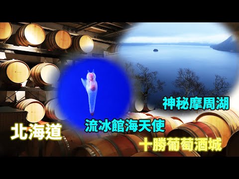 日本北海道 網走流冰館 能取湖紅珊瑚 神秘摩周湖 十勝葡萄酒城堡