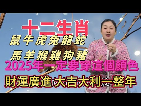 諸位生肖注意啦，2025 年一定要穿這個顏色，鴻運當頭擋不住，好運主動找上門，大吉大利一整年，開啟輝煌運勢，千萬別錯過這神奇色彩！#生肖 #正能量 #風水 #運勢 #熱門 #佛教