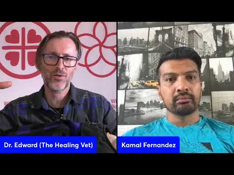 Pre Dog Anxiety Summit Interview with Kamal Fernandez, World Leading R+ Dog Trainer