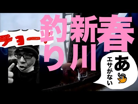 [初心者釣り日記] アオイソメ100円買って春に4回4日釣りに行く初心者 (1回1日目 : 何かいる新川)