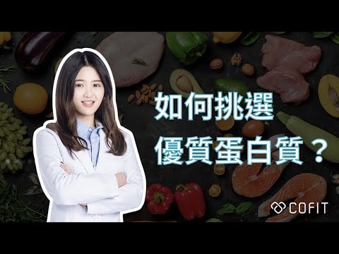 健身人注意！如何挑選優質蛋白質？｜Cofit 吳欣陵營養師