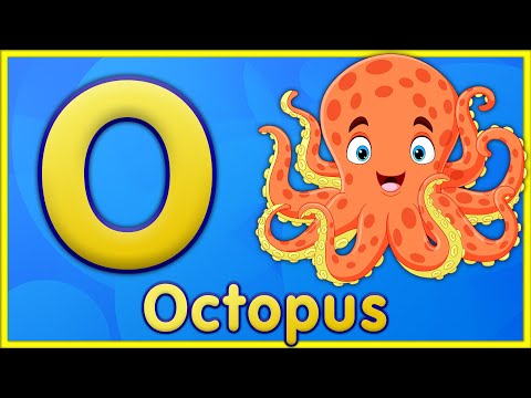 Letter O | Octopus, Orange, Owl, Oval - Learn the Letter O