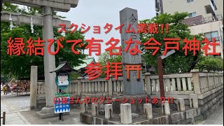 縁結びと白猫ちゃんで有名な今戸神社参拝に行ってまいりました🤗スクショタイム満載です。