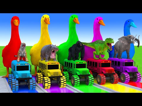 5 Giant Duck Cartoon,Cow,Elephant,Tiger,Lion,Dinosaur,Paint Wild Animals Crossing Fountain Animation