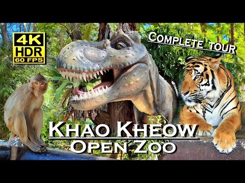 Khao Kheow Open Zoo Thailand 🇹🇭 4K 60fps HDR 💖 The best places 👀 Complete tour, Bus and Walking Tour