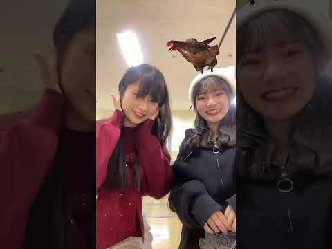 HKT48 井澤美優 江口心々華 ニワトリチャレンジしてみたよ！面白すぎた(笑)  #jk