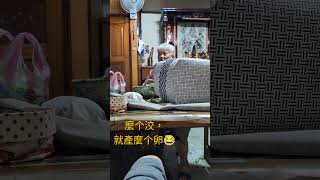 客語教學