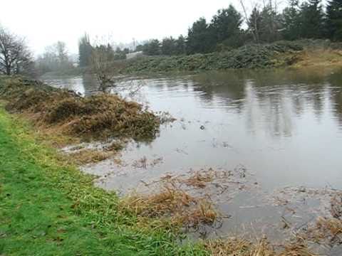 Sammamish River flooding