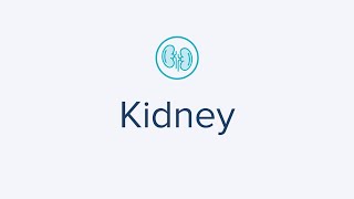 At-Home Kidney Test for Monitoring Kidney Function and Performance for a healthy you.