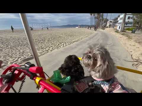 Venice Beach Bike Ride