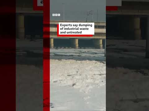 Smog engulfs Delhi, toxic foam covers Yamuna river as winter approaches | BBC News India