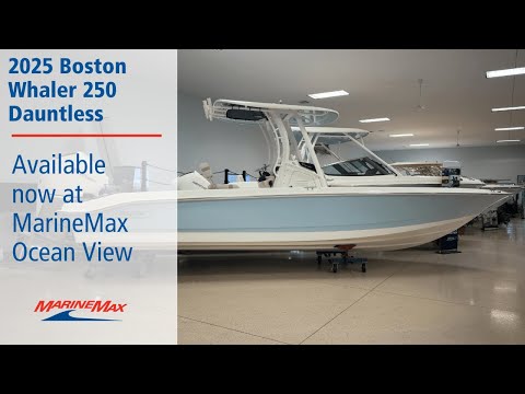 2025 Boston Whaler 250 Dauntless for sale at MarineMax Ocean View NJ