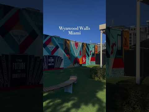 FUN things to Do in MIAMI 😍#shorts #miami #travelblogger #wynwoodwalls #wynwoodmiami #thingstodo