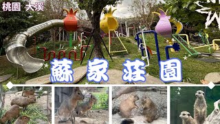 2023 -12 桃園 大溪 蘇家莊園/漫步園內欣賞園林之美/迷你動物園有土撥鼠.龍貓.兔豚鼠.浣熊.袋鼠.迷你馬.羊駝....等/門票$200元適合親子家庭同遊休閒拍照景點