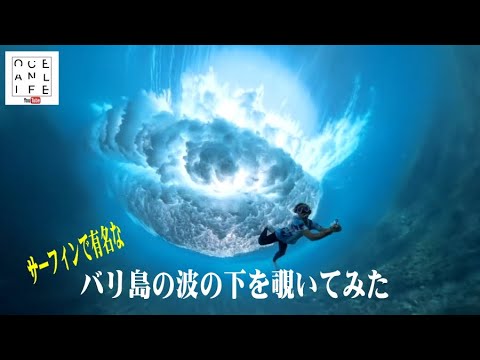 サーフィンで有名なバリ島の波の下を覗いてみた動画 #バリ島 #サーフィン