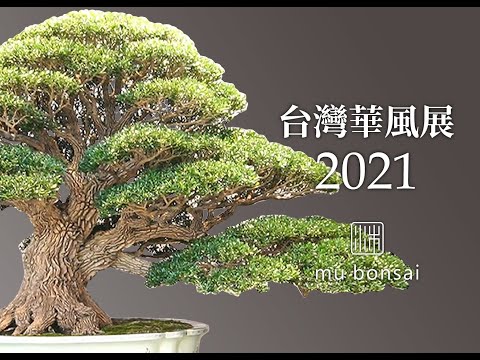 台灣華風展 2021 華風獎逸品獎∣全國盆栽展 the 26th HWA-FONG National Bonsai Exhibition in 2021. Taiwan