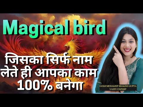 24 Hours में कोई भी विश पूरी हो जाती है phoenix  word , super powerful magical bird