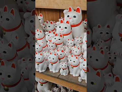 MONEY come, MONEY come! Praying for good luck at Fortune Cat Temple in Japan