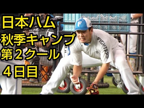 日本ハム秋季キャンプ第２クール４日目2024.11.9