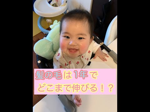 髪の毛は1年でどれだけ伸びる！？1歳過ぎてからの伸びしろがすごい！【髪の毛の成長記録】#shorts