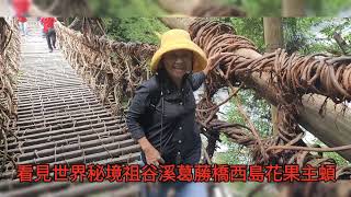 看見世界秘境祖谷溪葛藤橋.日本三大奇橋.西島花果主題園區