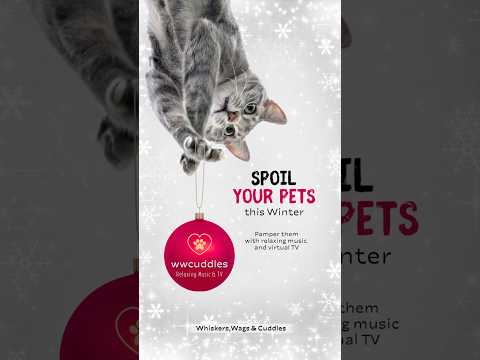 Spoil Your Pets! Sensory Calming Videos - Relaxing Music and Endless TV Stimulation 🐾 [NO ADS]