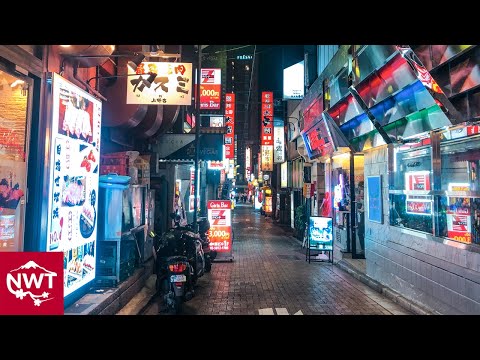 Tokyo Night Tour In Ueno Hirokoji 4K