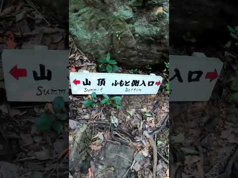 石垣島あるある♪マーペ登山してみました