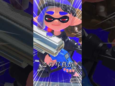 この写真が一生残る【Splatoon】