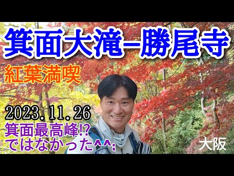 箕面大滝−勝尾寺  2023🍁周回