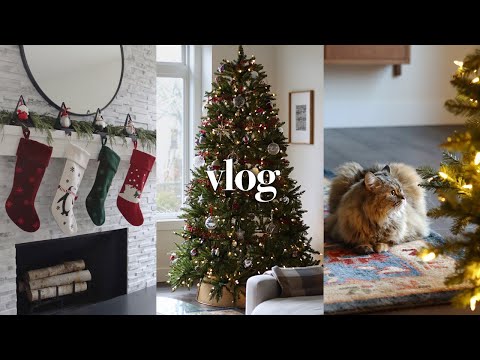 VLOG l Decorate Christmas Tree With Me🎄Holiday Home Decor Ideas l Life in Seattle + Recipes for IBS