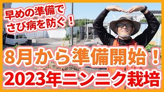 家庭菜園や農園のニンニク栽培2023年スタート！早めの準備でさび病を防ぐ！8月から準備開始するニンニクの育て方！【農園ライフ】