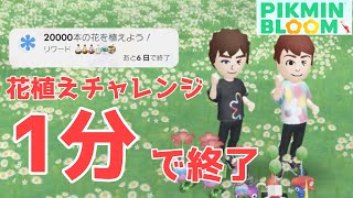 修正されるだろこれは‥ウィークリーチャレンジの花植えチャレンジを、1分で終わらせる技【ピクミンブルーム / Pikmin Bloom 】