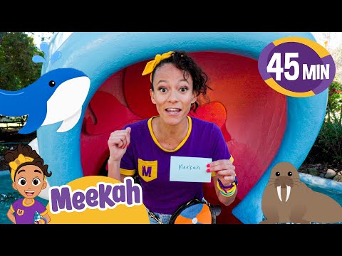 Meekah's Meets A Giant Whale at Fairy Land | Educational Videos for Kids | Blippi and Meekah Kids TV