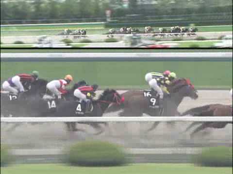 2009年6月20日 阪神9R 出石特別　テスタマッタ