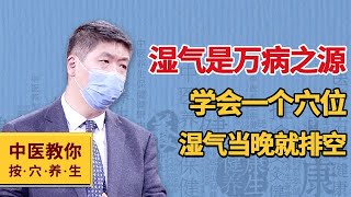 湿气是万病之源，学会一个穴位，湿气当晚就排空【中医教你按穴养生】