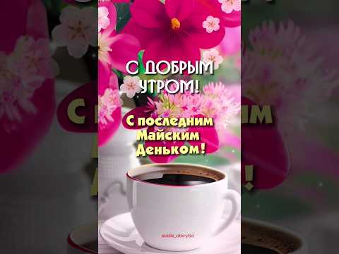 Доброе утро, с 31 мая! #открытки #доброеутро #31мая #пожеланиядрузьям