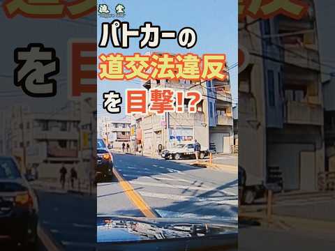 青キップ!?お巡りさん！それは…#道交法違反 #ドラレコ #パトカー #横断歩道