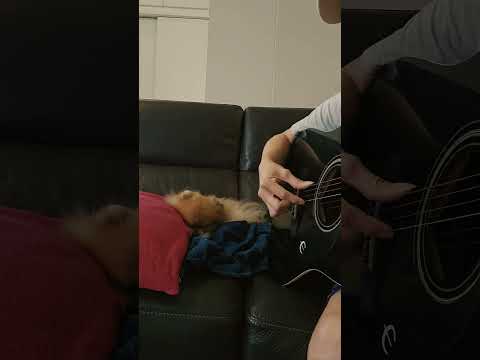 force my child to listen while I practice playing my beginner guitar and perform my favorite song