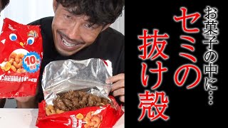 【ドッキリ 】Fujiyamaが食べるお菓子にセミの抜け殻を入れると……