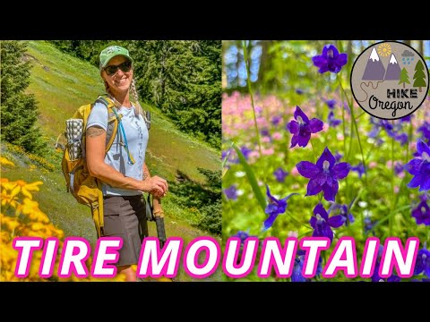 The Most EPIC Wildflower Hike! | Tire Mountain Trail | Westfir, Oregon