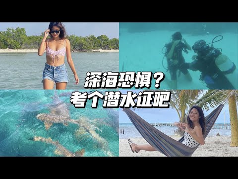 旅居VLOG 10: 伯利兹考潜水证 与鲨鱼共游 和深海恐惧说拜拜！