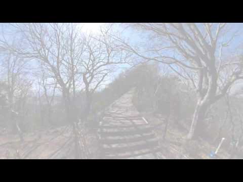 【4K 伊豆の絶景】伊豆の国市・伊豆パノラマパーク Izunokuni Panorama Park 「ボードウォーク」 (A Walkway Made Of Wooden Boards)