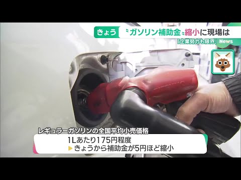 「最低リットル5円は上がる」ガソリン補助金が縮小、価格高騰へ　燃費良く走るコツは (24/12/20 06:00)