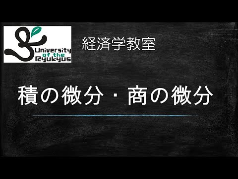 積の微分、商の微分 (No.7)