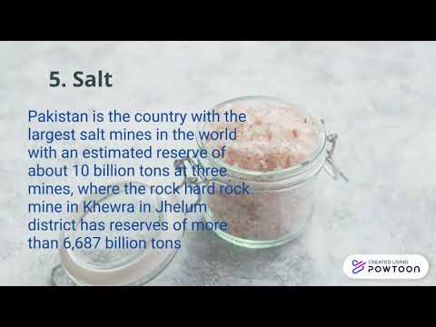 What are main export products of Pakistan