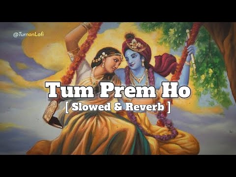 Tum Prem Ho Tum Preet Ho - Slowed & Reverb | Krishna Janmashtami | Radha Krishna | Bhajan Lofi