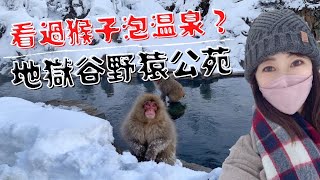 一個人日本旅行｜可愛い猿温泉に入る♨️ 日本長野地獄谷野猿公苑🐒 (Jigokudani Wild Monkey Park)