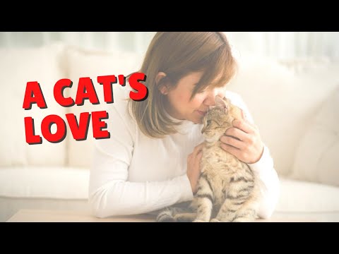 Do You Deserve Your Cat’s Love? | Two Crazy Cat Ladies